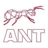 Ant Farm